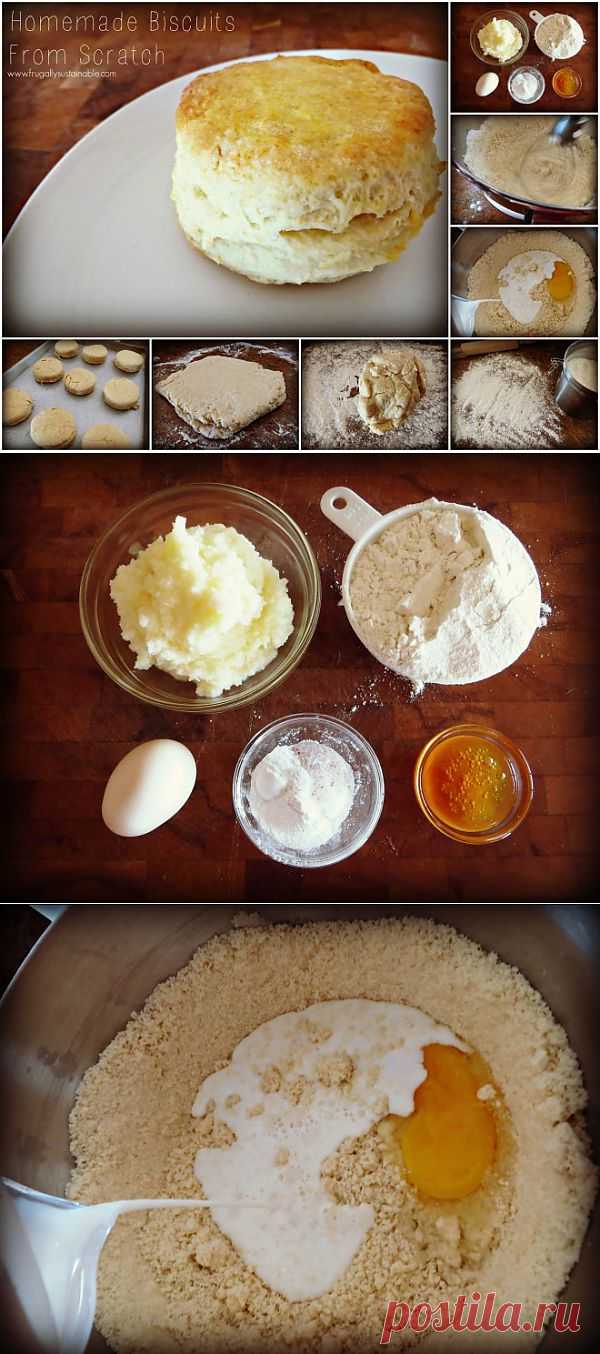 How to Make Homemade Biscuits from Scratch