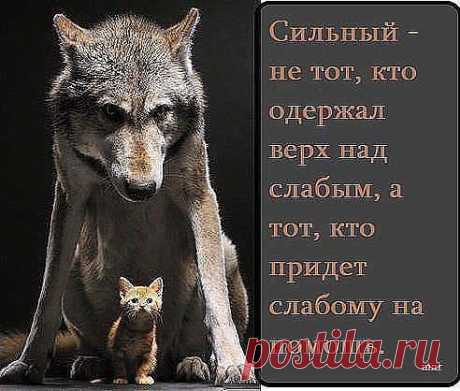 Хорошо сказано!?