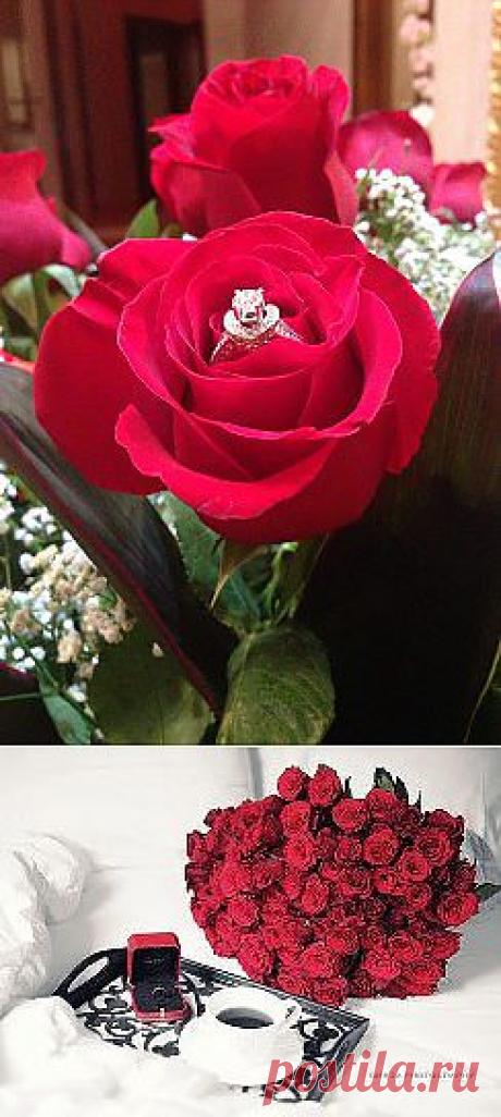 (2) Одноклассники