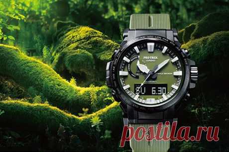 Casio PRW-61 - "экологичные" часы, сделанные из кукурузы и бобов / Оффтопик / iXBT Live