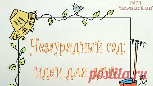 Перемены у цветочницы Елены | Незаурядный сад: идеи для дачи