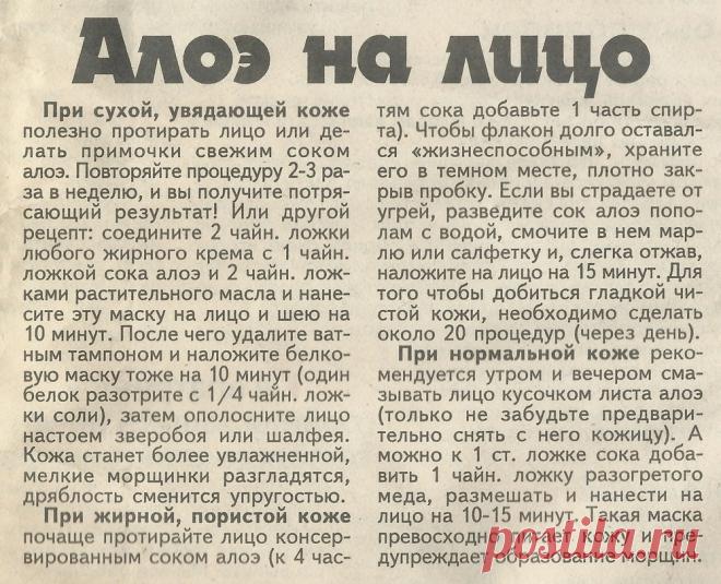 Алоэ на лицо
