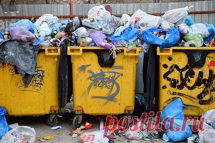 В России обнаружилась нехватка мусоровозов