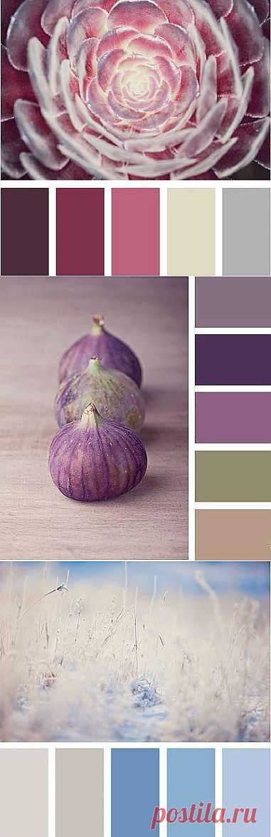 Вдохновляемся!!! Подбор цветовых схем. - Ярмарка Мастеров - ручная работа, handmade