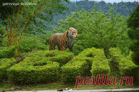 Янг Бей — экологический парк близ Нячанга: самостоятельно и с интересом. | Путешествия с Ириной Яровой