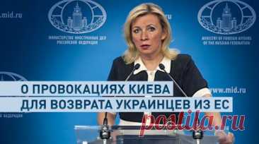 Захарова прокомментировала планы Киева вернуть молодых украинцев из ЕС для отправки на фронт. Киевский режим готовит новые провокации для возвращения молодых украинцев из стран ЕС и отправки их на фронт. Об этом в ходе еженедельного брифинга заявила Мария Захарова. Официальный представитель МИД России отметила, что после возвращения на Украину мужчин, вероятно, будут направлять на передовую в подразделения, несущие большие потери. Читать далее