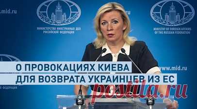 Захарова прокомментировала планы Киева вернуть молодых украинцев из ЕС для отправки на фронт. Киевский режим готовит новые провокации для возвращения молодых украинцев из стран ЕС и отправки их на фронт. Об этом в ходе еженедельного брифинга заявила Мария Захарова. Официальный представитель МИД России отметила, что после возвращения на Украину мужчин, вероятно, будут направлять на передовую в подразделения, несущие большие потери. Читать далее
