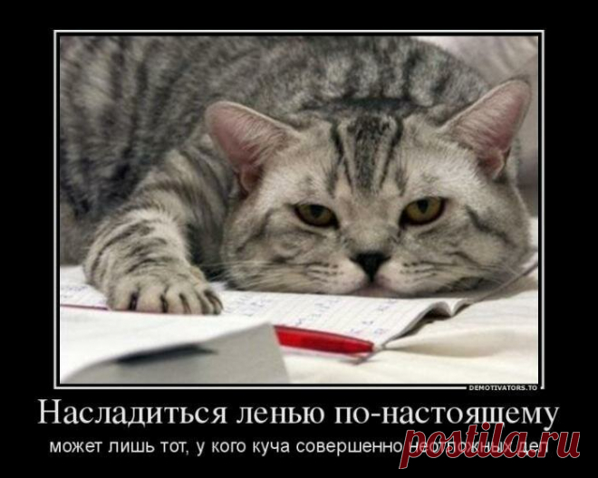 Демотиваторы с котиками