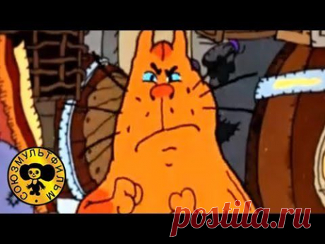 Кот и компания - YouTube- 49 мультиков для ВЗРОСЛЫХ))