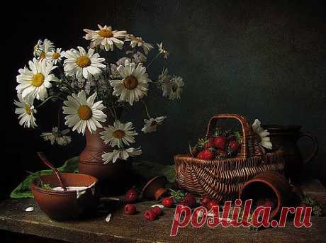 ромашки