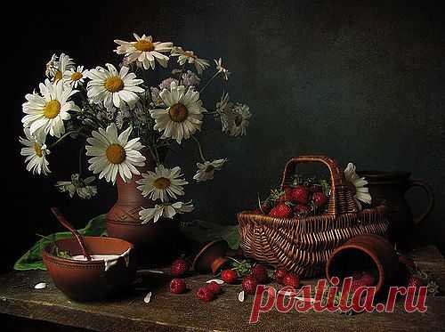 ромашки