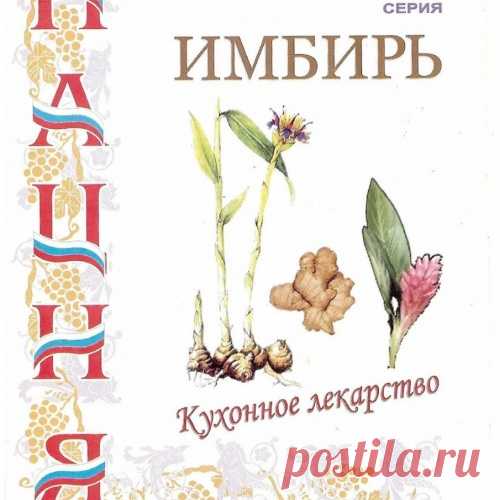Имбирь. Кухонное лекарство