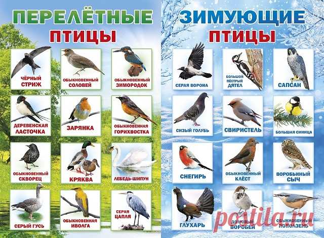 КАРТОЧКИ для ЗАНЯТИЙ с ДЕТЬМИ 
