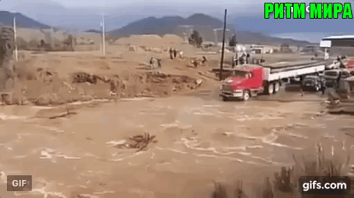 Водитель уровень 99