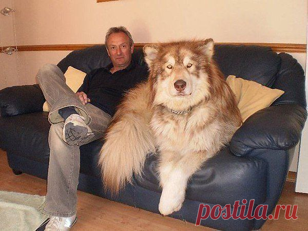 Интересные новости