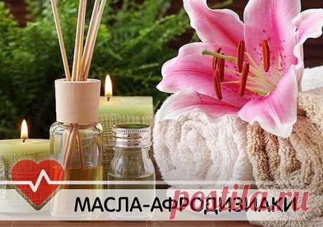 Дневник Малышка