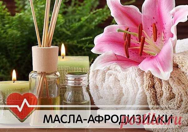 Дневник Малышка