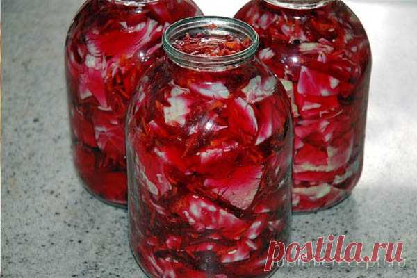 Капуста, маринованная в банках, по-грузински - Любимые рецепты В Грузии капусту принято мариновать со свеклой и сельдереем. Еще одно отличие такого способа от классического заключается в том, что капуста не шинкуется, а нарезается квадратами. Давайте посмотрим как приготовить капусту, маринованную в банках, по-грузински. Вам потребуются: капуста белокочанная – 3 килограмма, свекла – 1 штука среднего размера, морковь – 2 штуки среднего размера, чеснок …