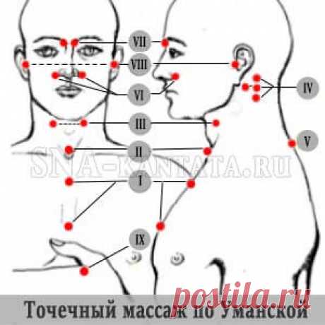 Точечный массаж по Уманской. 
Точечный массаж по Уманской: Простая 5-минутная техника укрепит иммунитет, нормализует сон, стабилизирует психику, повысит работоспособность.
Важные моменты:
Перед массажем согреваем руки, массируя п…