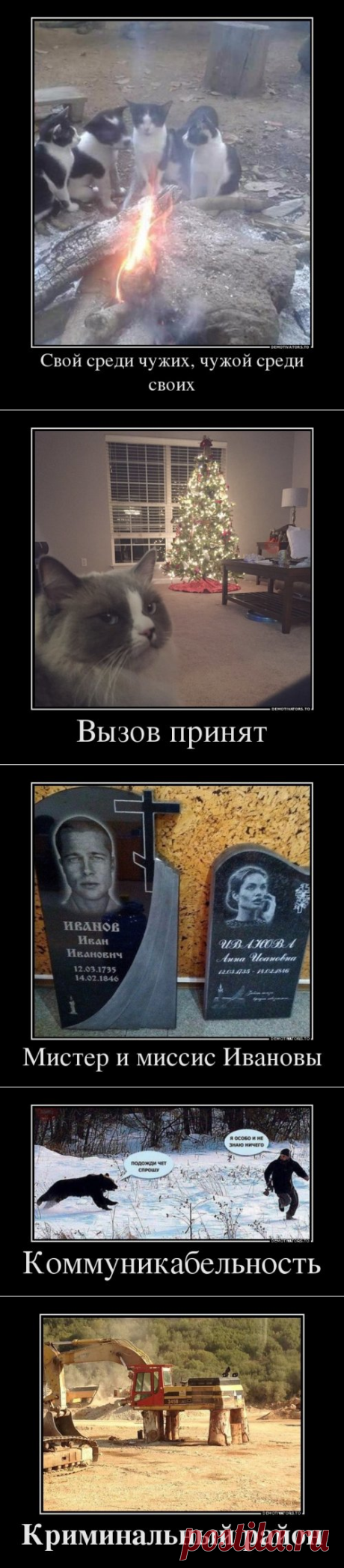 Свежие демотиваторы (19 шт)