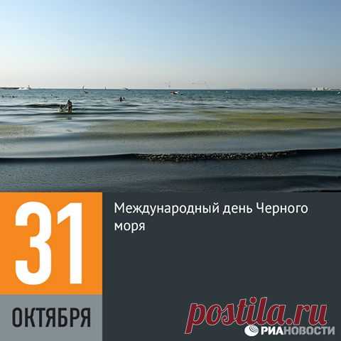 Международный день Чёрного моря отмечается ежегодно 31 октября в память о дне 1996 года, когда шесть причерноморских стран — Болгария, Румыния, Турция, Грузия, Россия и Украина — подписали Стратегический план действий по реабилитации и защите Чёрного моря. Его главной целью стало привлечение внимания к тому, какой невосполнимый ущерб морю наносит перелов рыбы, загрязнение воды и глобальное потепление.