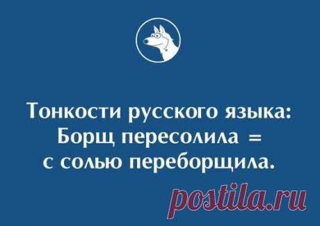 Ещё раз о тонкостях русского языка…