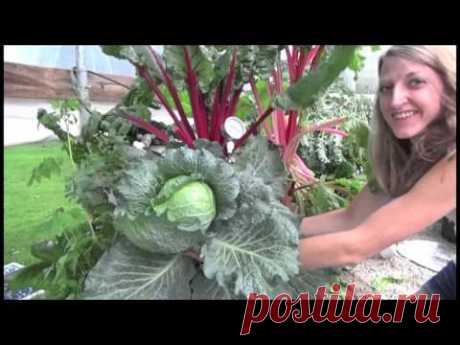 Farm-To-Table Vertical Aeroponics Greenhouse,  Art Garden & How We're Building The Growing System!