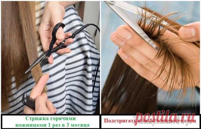 7 вредных советов, которые дают сотрудники салонов красоты в надежде на частых клиентов Отправляясь в салон красоты, девушки надеяться, что им не только сделают красивую стрижку, покрасят волосы в желаемый цвет, но и дадут несколько полезных советов, как правильно ухаживать за локонами.
...