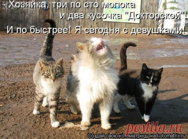 Я с девушками!
