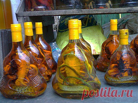 Лечебные настои... | Познавательный сайт ,,1000 мелочей"