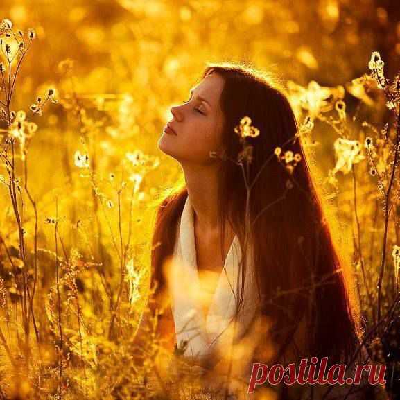 Тёплые травы...
