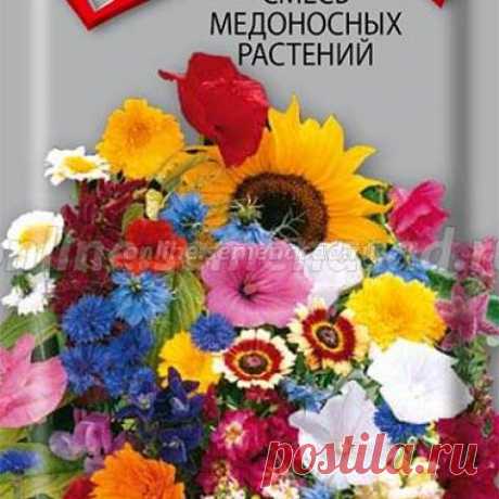 Смесь цветов, купить в Москве, смесь цветов с доставкой по россии