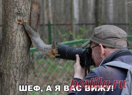 ты кто?