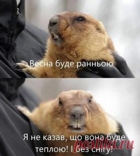 Весна пришла. Мемы принесла