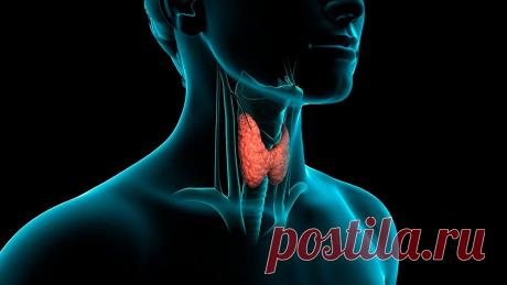 Болезни щитовидки и сон: какая связь, каким образом сон и щитовидка влияют друг на друга Болезни щитовидки и сон – какая связь обнаружилась в последних исследованиях. О важности здорового сна для выработки гормонов щитовидной железы и общего состояния организма.