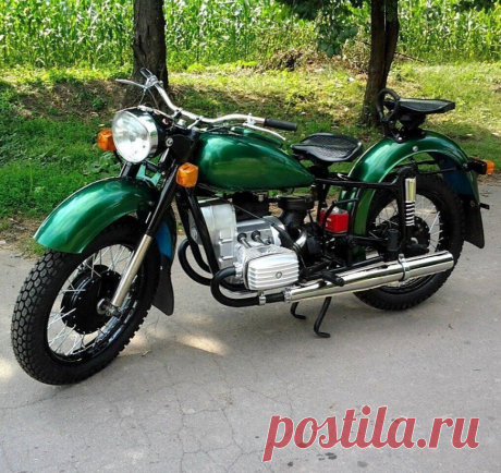 Какой красавец!