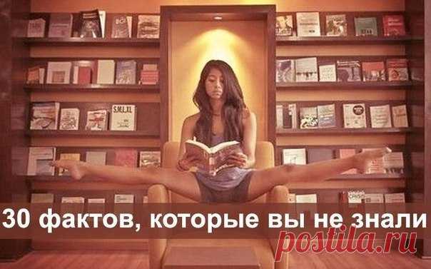 30 фактов, которые вы наверняка не знали / Необычные поделки