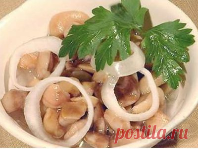 Маринованные маслята с горчицей