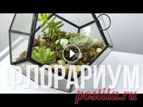 Как сделать флорариум с суккулентами своими руками Как сделать флорариум с суккулентами своими руками - полезное видео для всех, кто мечтает посадить суккуленты во флорариум. Мастер-класс как создать ф...