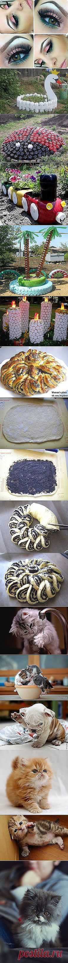 Можно ли гарантированно вырастить из ребенка... и другие материалы. Новое в Вашей подборке на Постила.ru - klievtsova@inbox.ru - Почта Mail.Ru