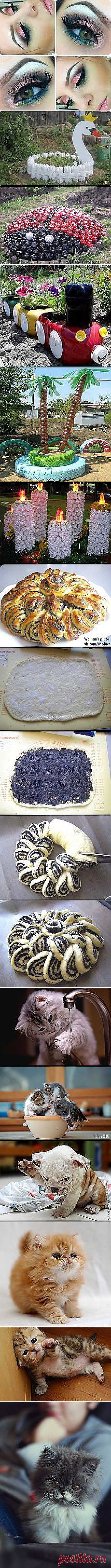 Можно ли гарантированно вырастить из ребенка... и другие материалы. Новое в Вашей подборке на Постила.ru - klievtsova@inbox.ru - Почта Mail.Ru