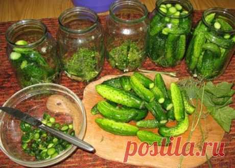 Детские маринованные огурчики.