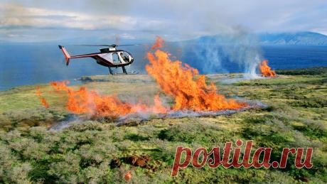 14-8-24--ТОЧКА НЕВОЗВРАТА: ПОСЛЕДСТВИЯ ГЛОБАЛЬНОГО ПОТЕПЛЕНИЯ. Оказалось, что уже через пару столетий Земля может столкнуться с высокой вероятностью необратимого разрушения экосистем и лавинообразного усиления парникового эффекта.