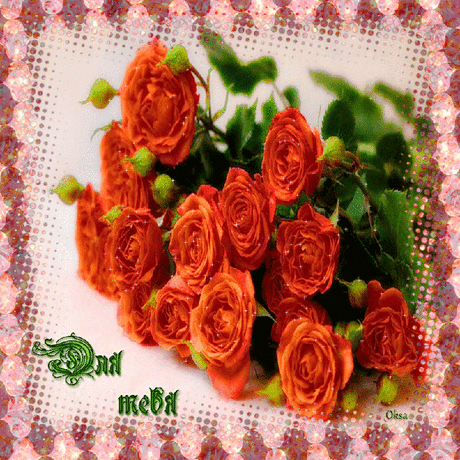0_6ec59_89fd7780_XL (800×800)
