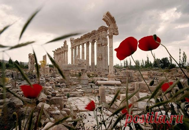 Baalbek | HOME SWEET WORLD. Baalbek is the name of an archeological site in Lebanon. In Roman times it wash known as Heliopolis or City of the Sun. An example of how ancient is the site ...dating as far back in history as 9,000 years, perhaps longer. |  Найдено на сайте homesweetworld.com.