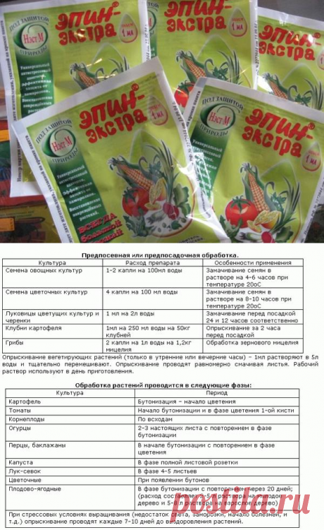 Эпин - основные характеристики и инструкция по применению эпина