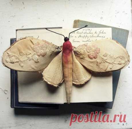 Mister Finch - Profile Pictures