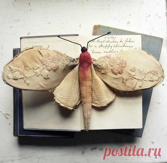 Mister Finch - Profile Pictures