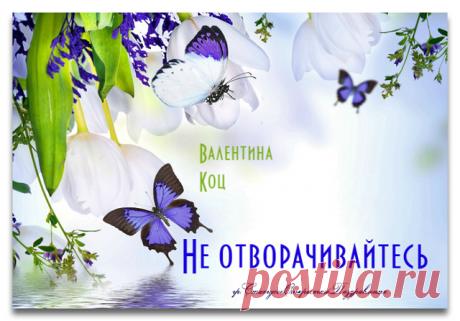 1 непрочитанный чат