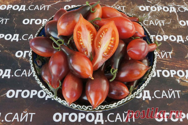 Томат Кумкват розовый опал, семена купить | ОГОРОД.сайт